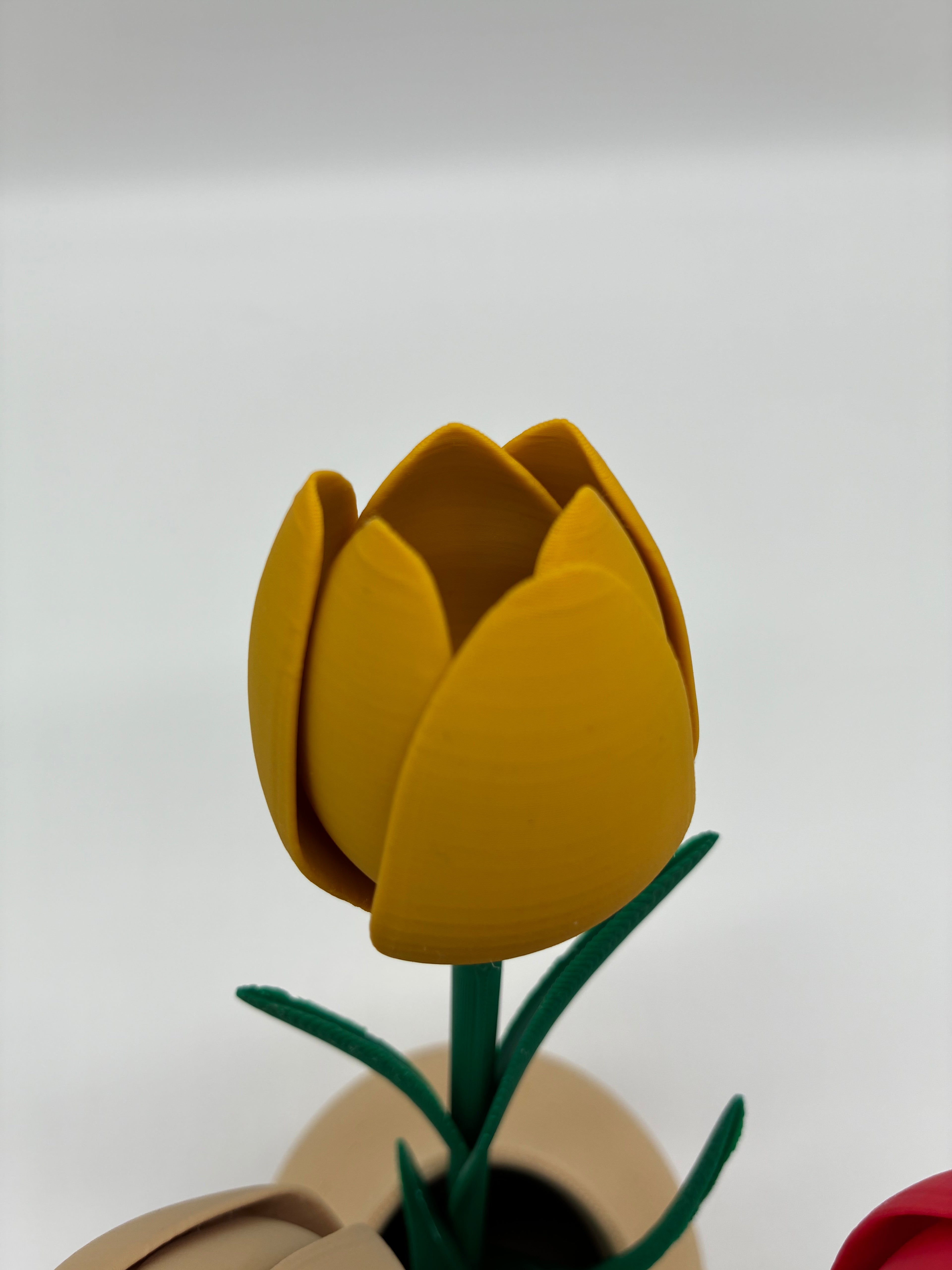 Vase „Tulipanvaske“ mit 4 Tulpen